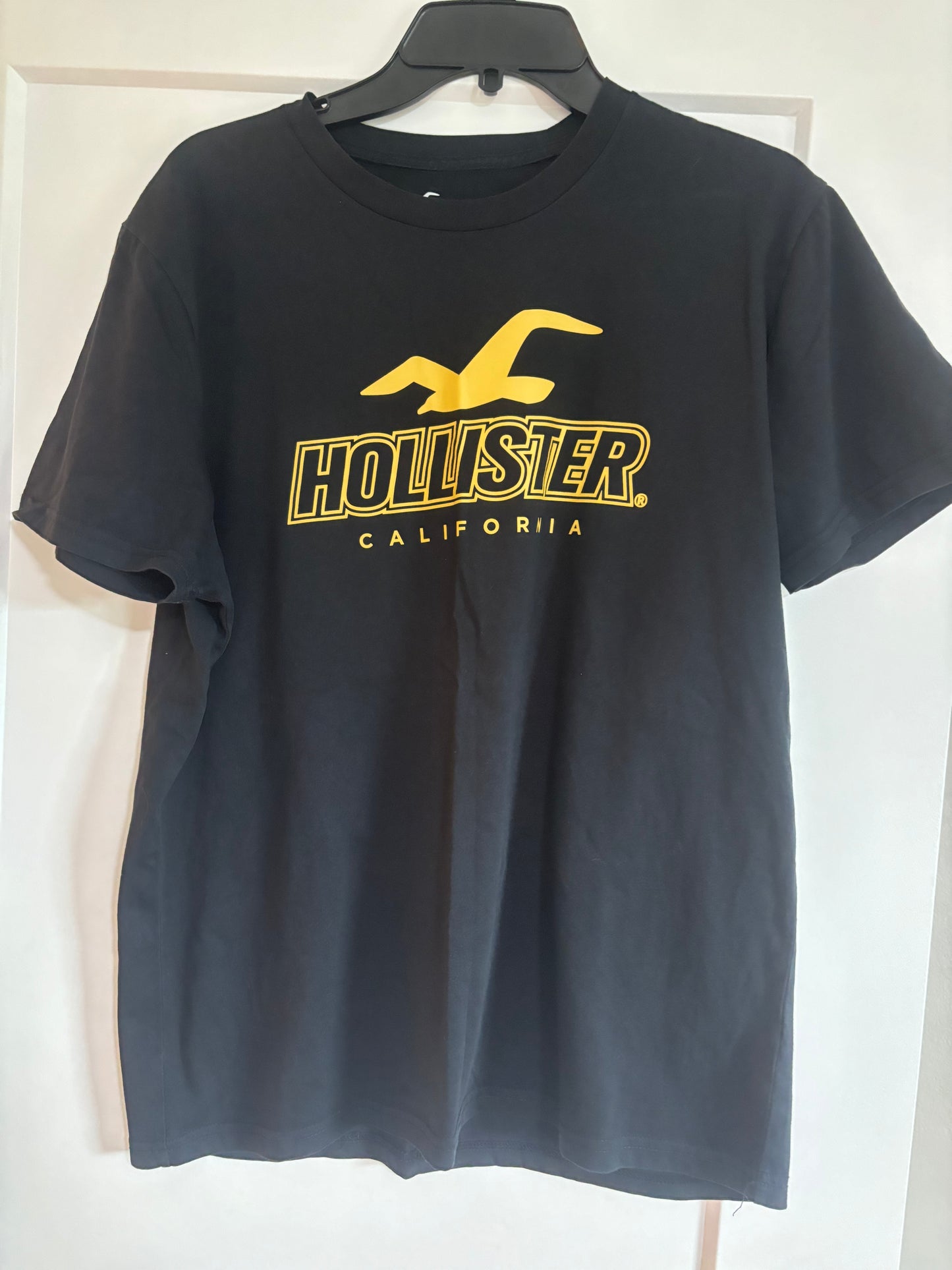 Hollister large