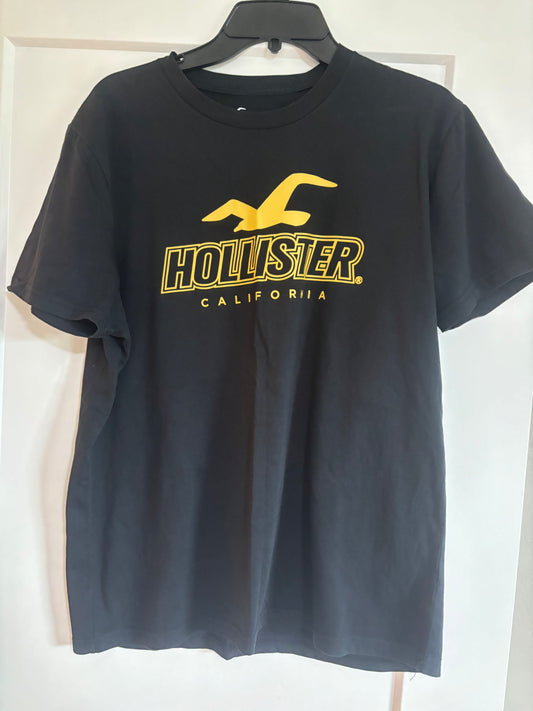 Hollister large