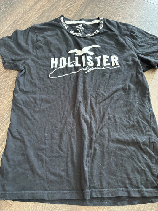 Hollister small