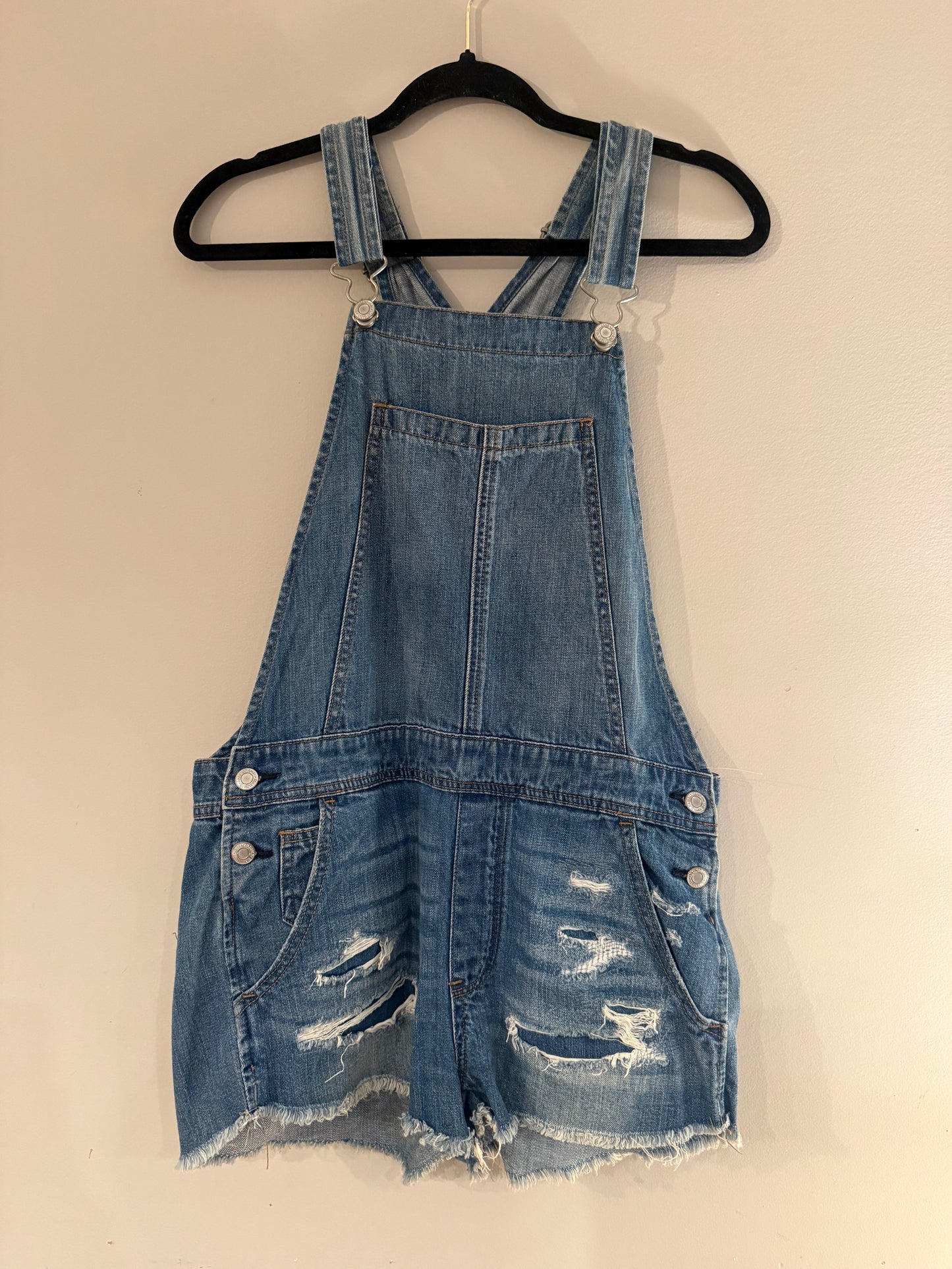 american eagle - small