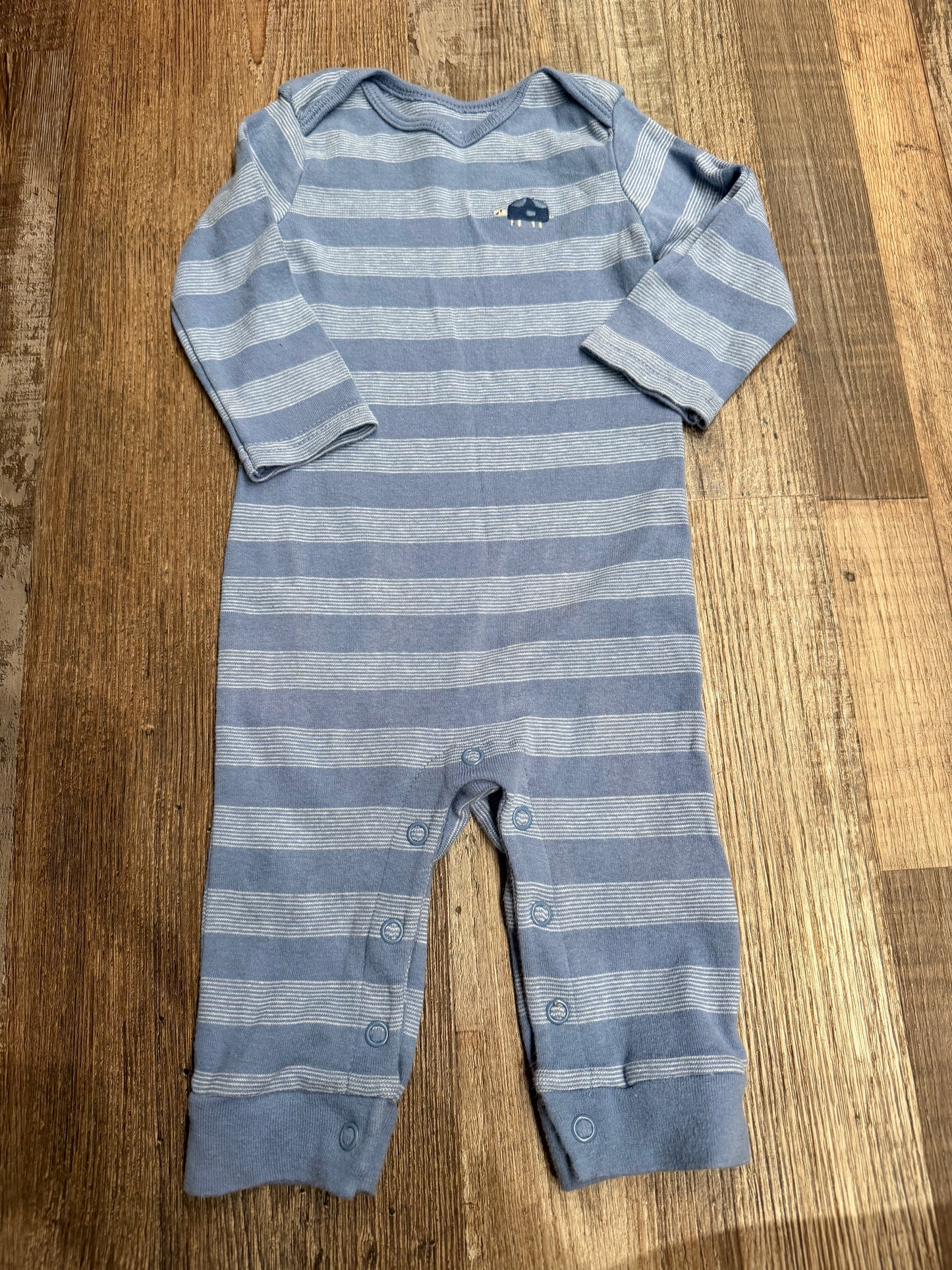 carters 6m