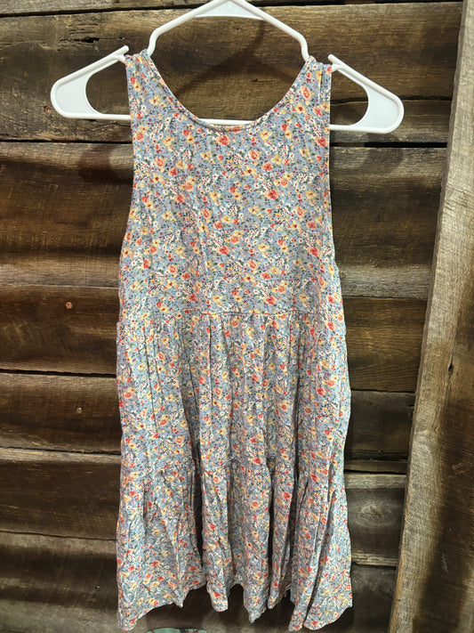 american eagle xs