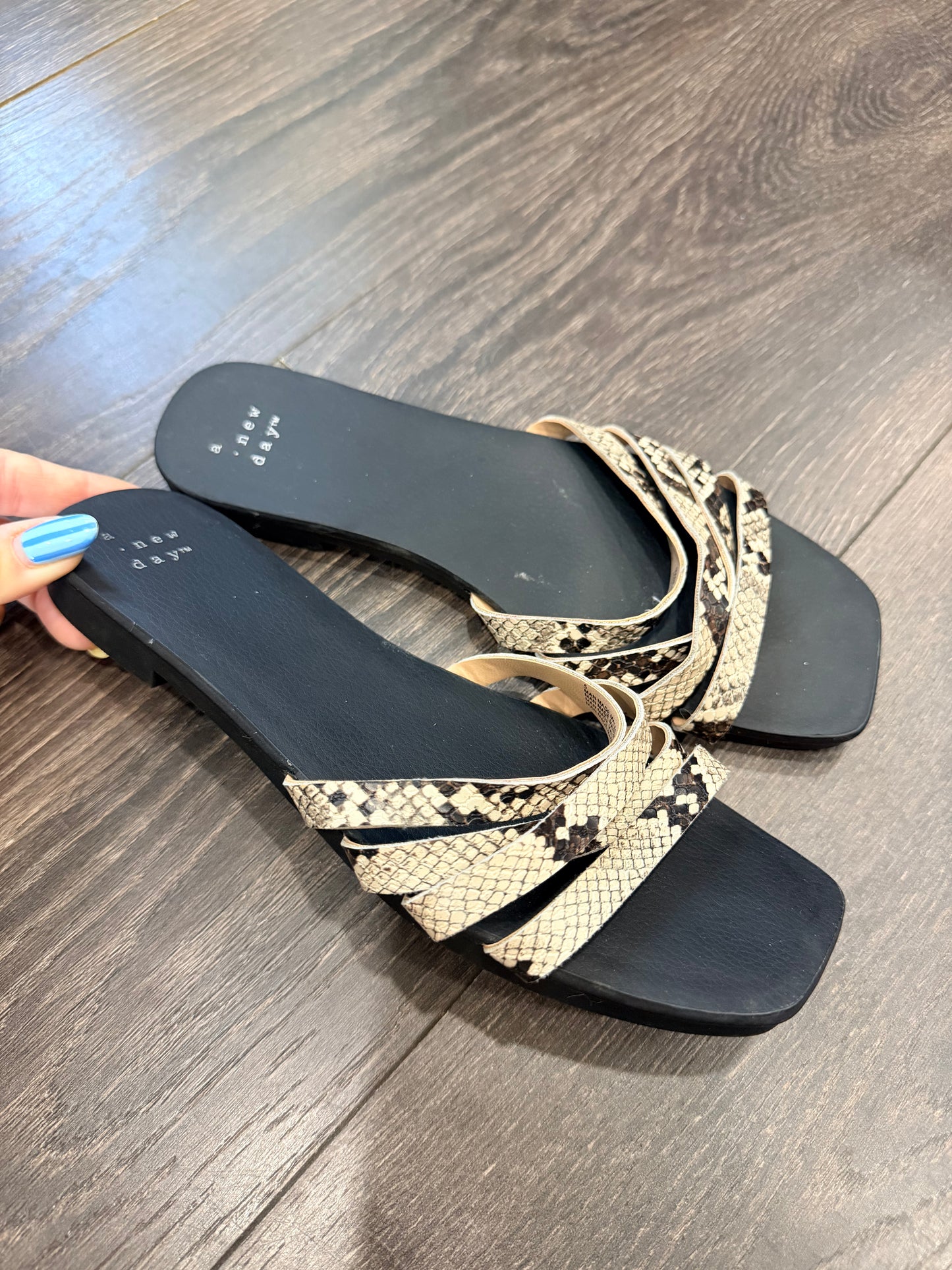 A New Day size 5