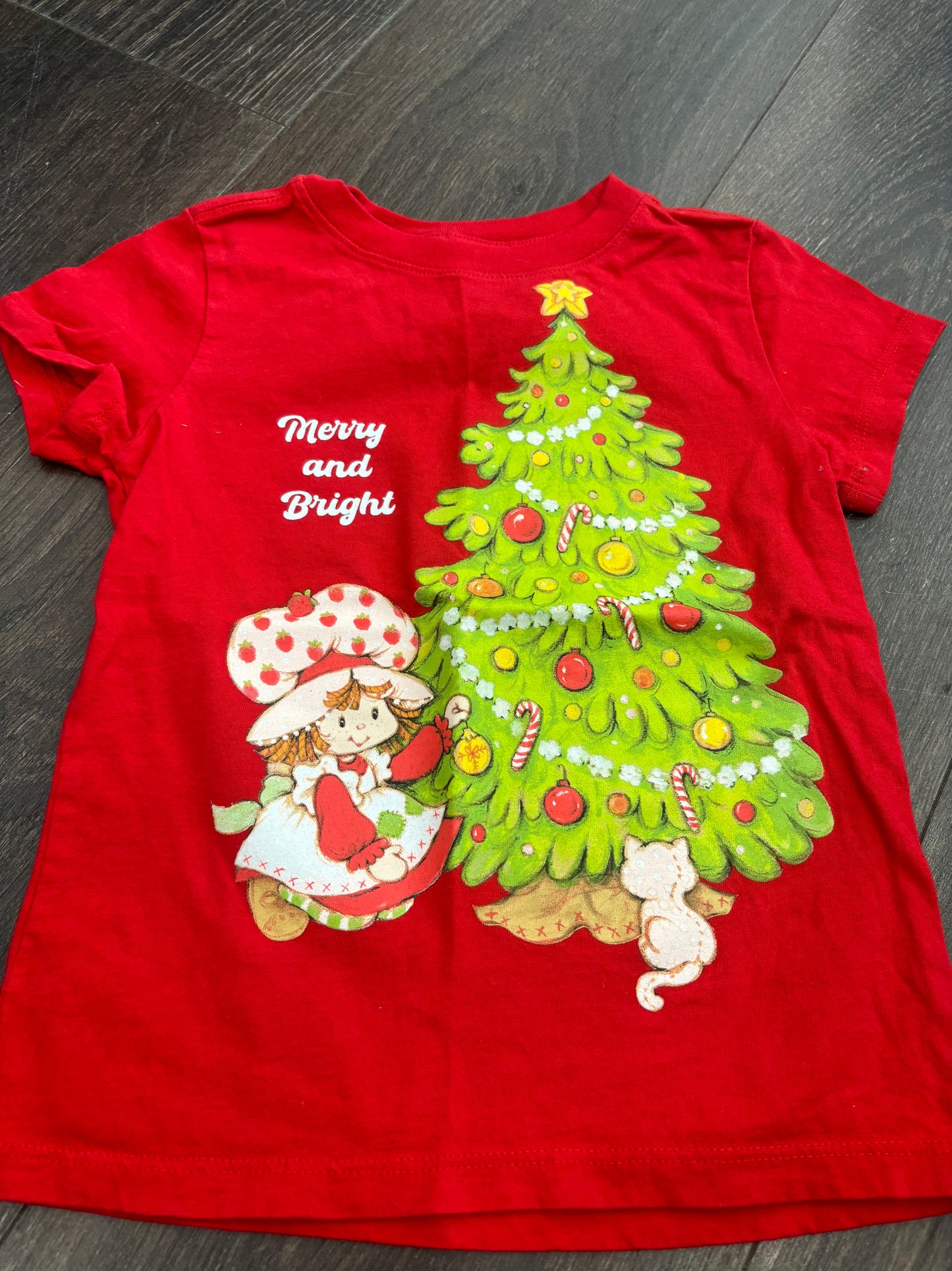 strawberry shortcake size 5